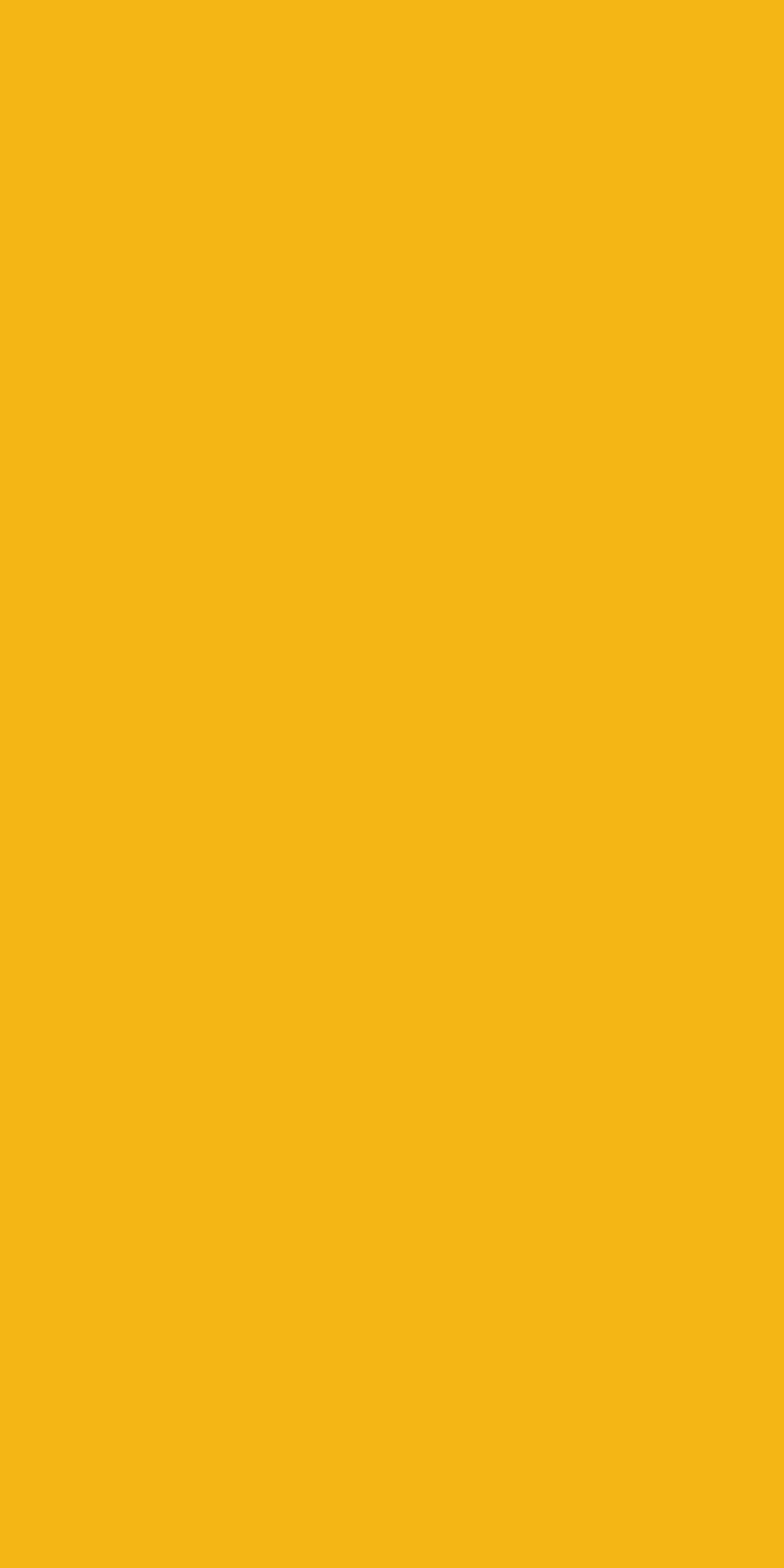 Żółty Miodowy U15115 SD
