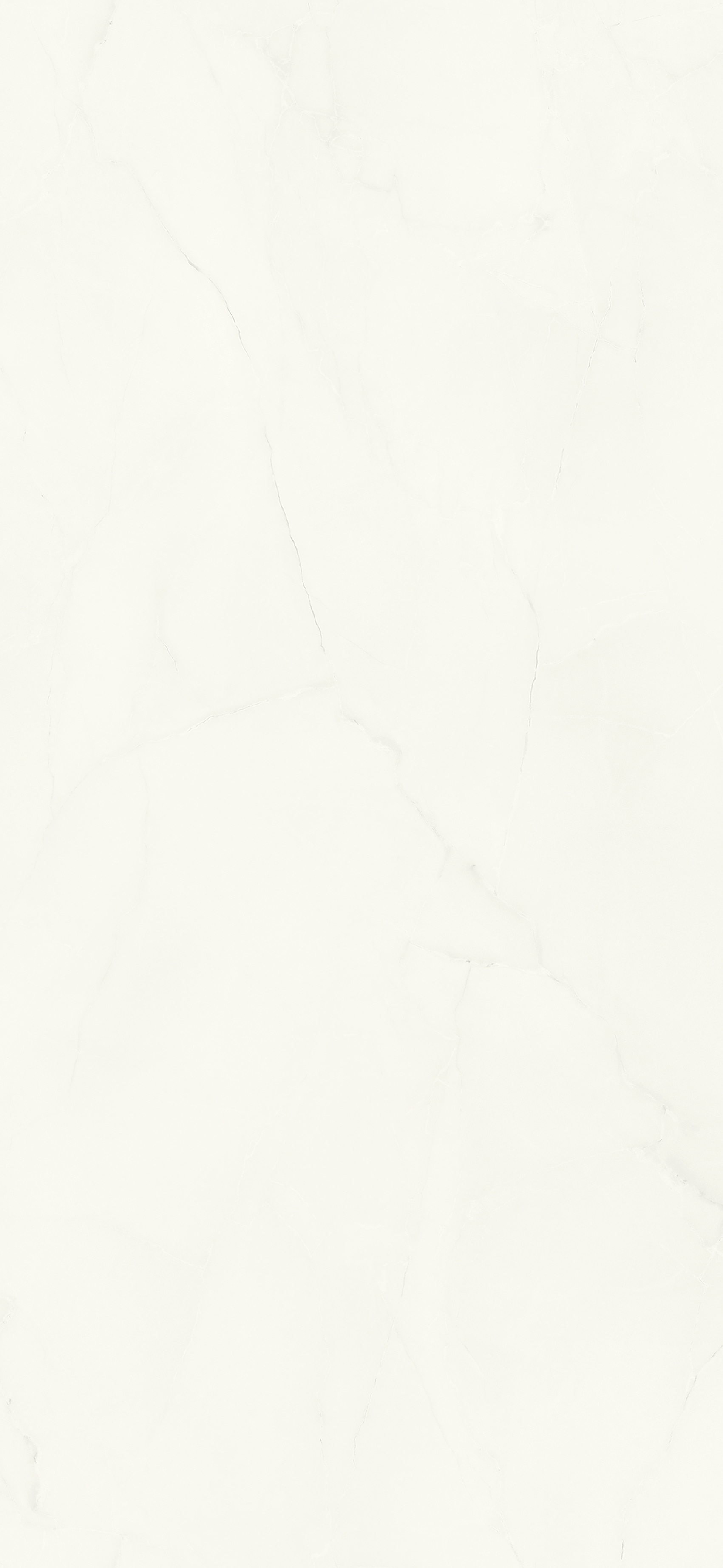 India White S63045 SM