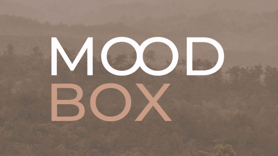 Mood Box, kompaktowe pudełko na wzorniki